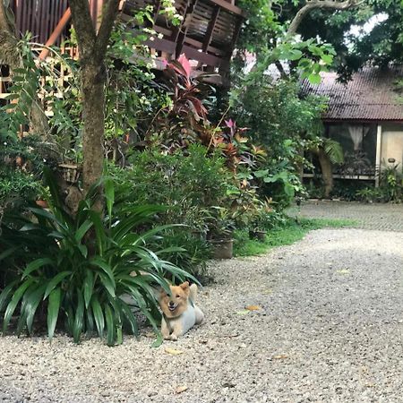 Baan Songjum Hotel Chiang Mai Luaran gambar