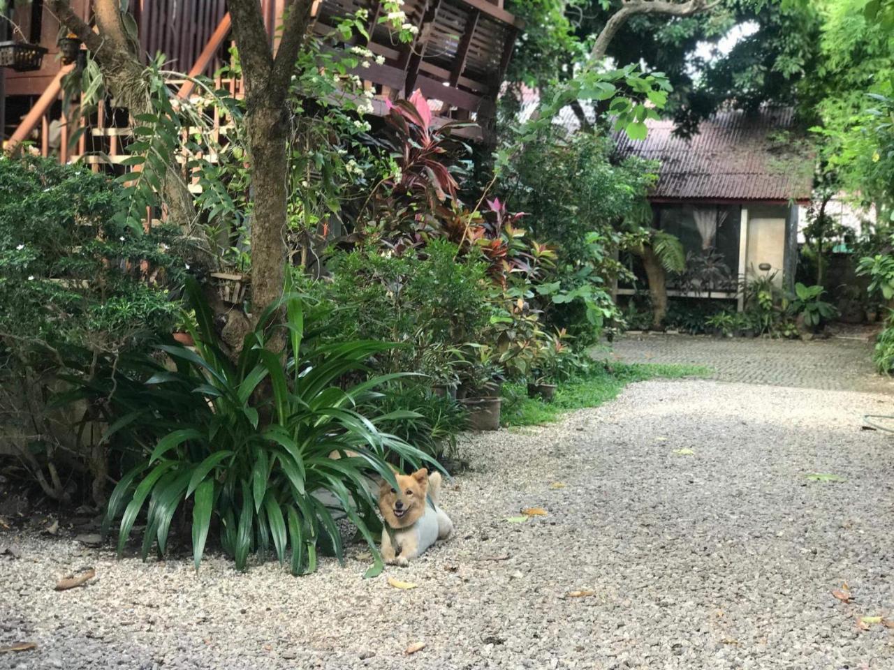 Baan Songjum Hotel Chiang Mai Luaran gambar